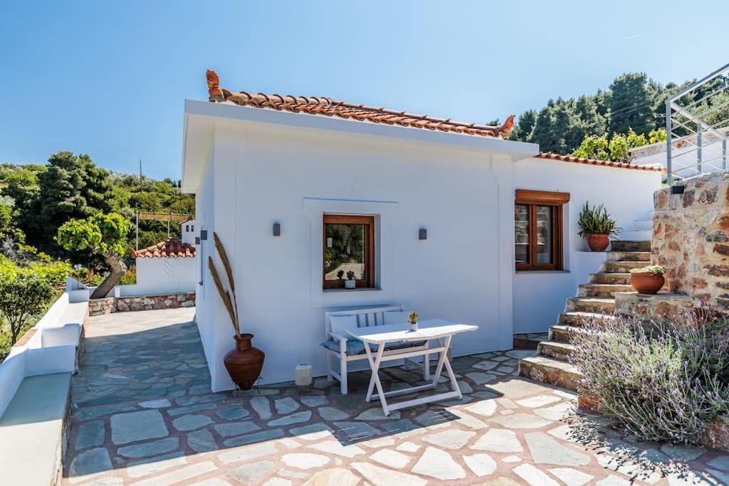 Villa Koukounaria Città di Skopelos Esterno foto